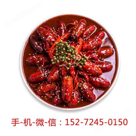 5斤567钱麻辣小龙虾鲜活活虾清水龙虾新鲜淡水青虾红虾生鲜大