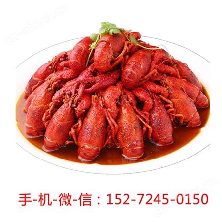 北京信良记小龙虾潜江宝龙新鲜麻辣蒜香中号商用加热即食盒装包邮