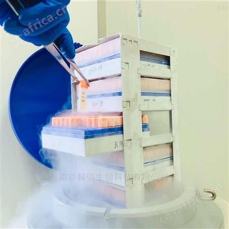 销售ATCC细胞报价