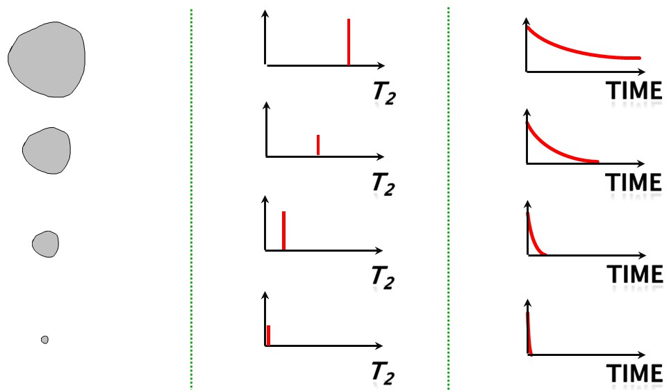 储层物性特征有哪些？低场核磁共振显身手