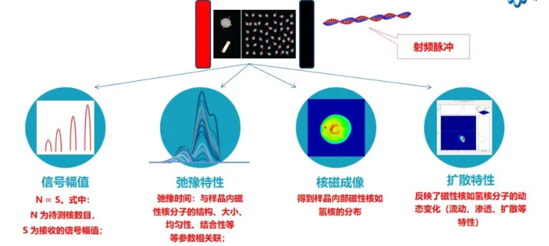岩心聚合物驱原理-核磁共振成像技术