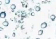 自由水结合水能不能相互转化-低场核磁研究